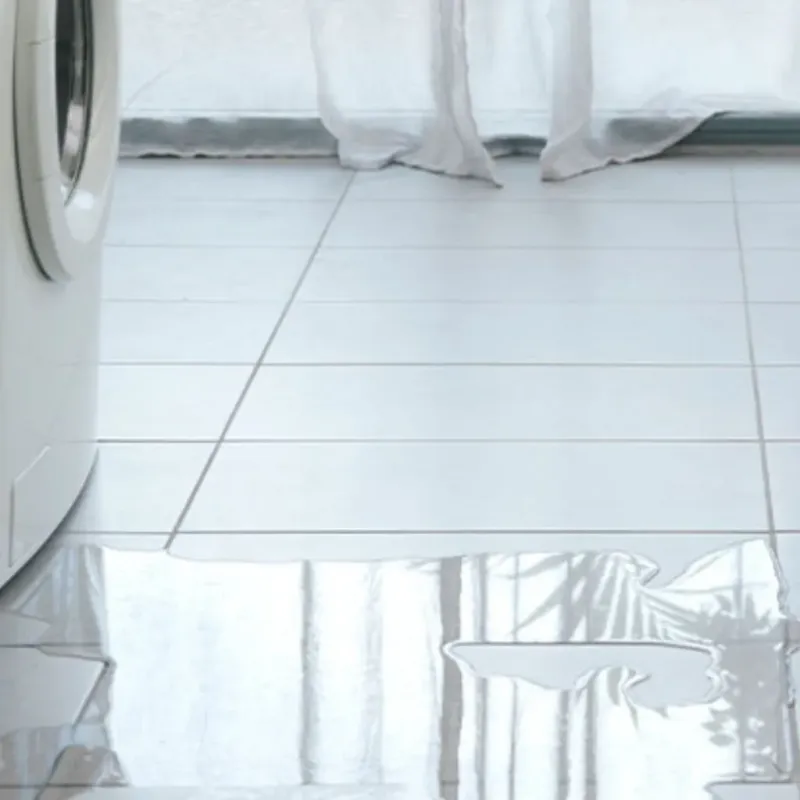 Appliance Leak Cleanup in Celina, OH