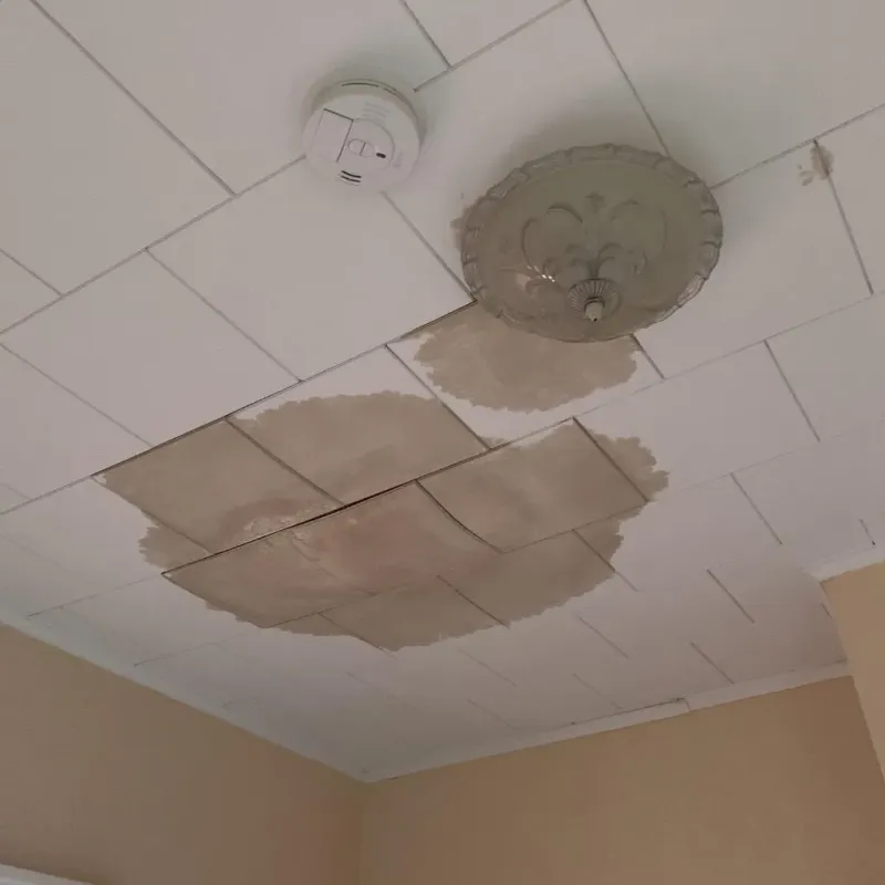 Ceiling Water Damage Repair in Celina, OH