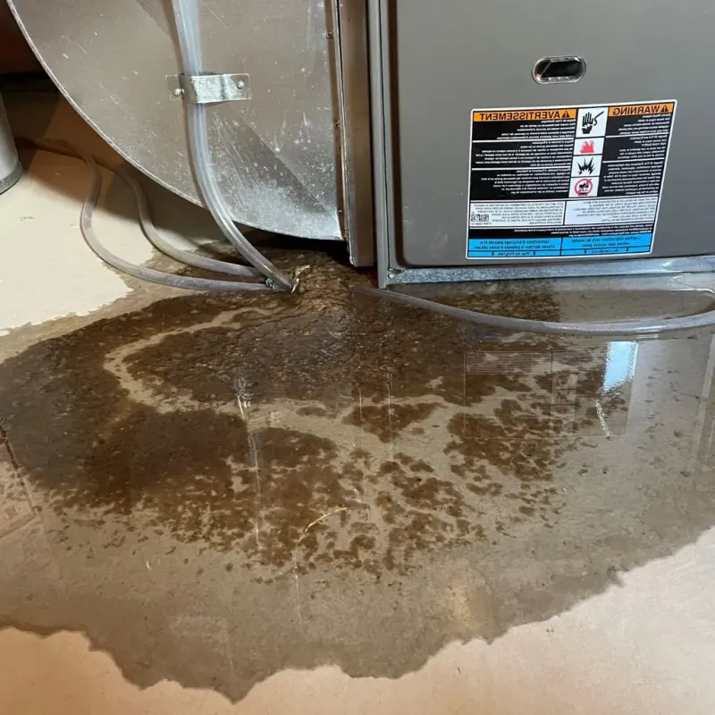 Pipe Burst and Leak Restoration in Celina, OH