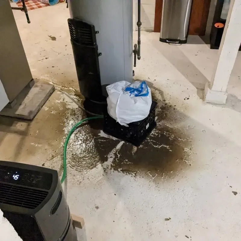 Sewage Backup Cleanup Service in Celina, OH